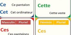 أنواع الأسماء في اللغة الفرنسية